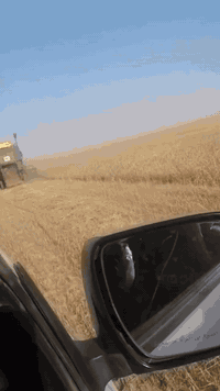 السلام عليكم
لليع حاصدة جوندير الماني موديل 79
العنوان الموصل ناحية المحلبية
***********
