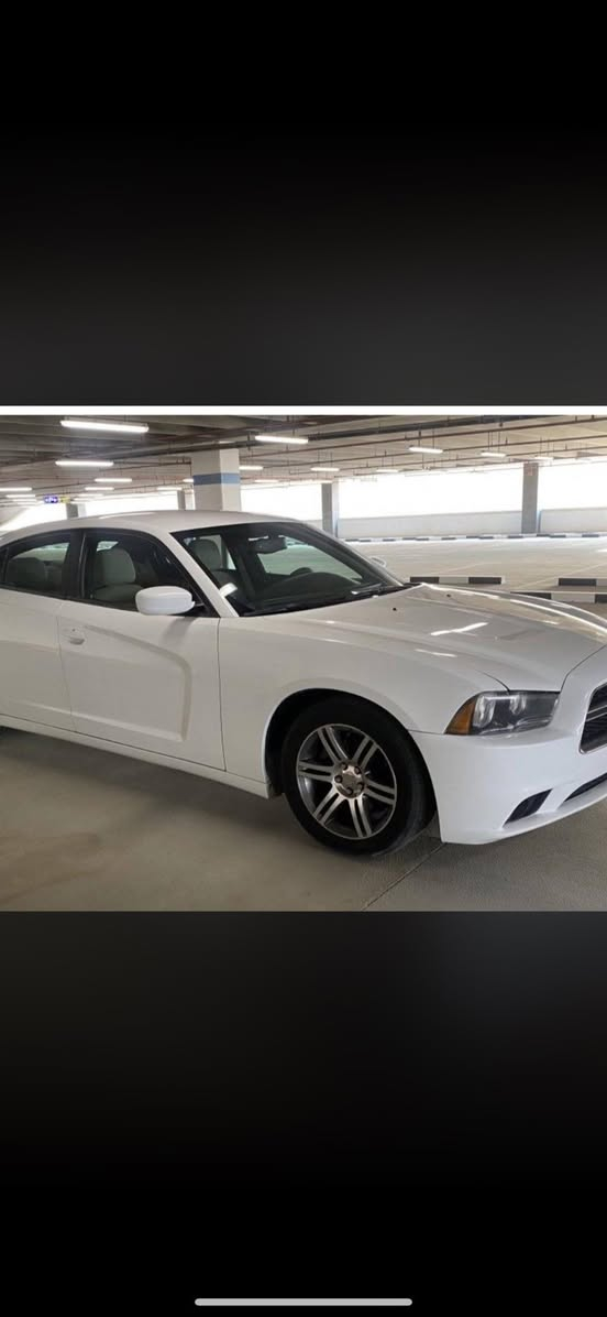 سلام عليكم جارجر ادوات 2014 اصل حديدة كفالة كص وضربة وفتح  ونتربول وسرقة العنوان البصرة ***********
