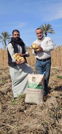 هيومك سلوفاكي • بطاطا • زيادة ١٥٪