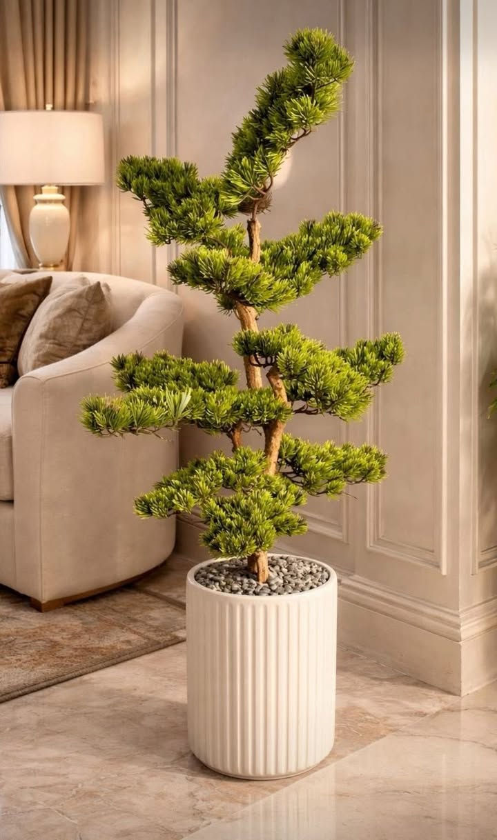 اشجار صناعية  كوالتي ممتاز سنادين زجاج عليهم خصم قطع اخيرة اي اختلاف يتم الرفض بدون دفع توصيل ❤️🌴


**إذا كنت صاحب هذا الإعلان وتريد حذفه لأي سبب، رجاءا أرسل رسالة إلى الدعم الفني**