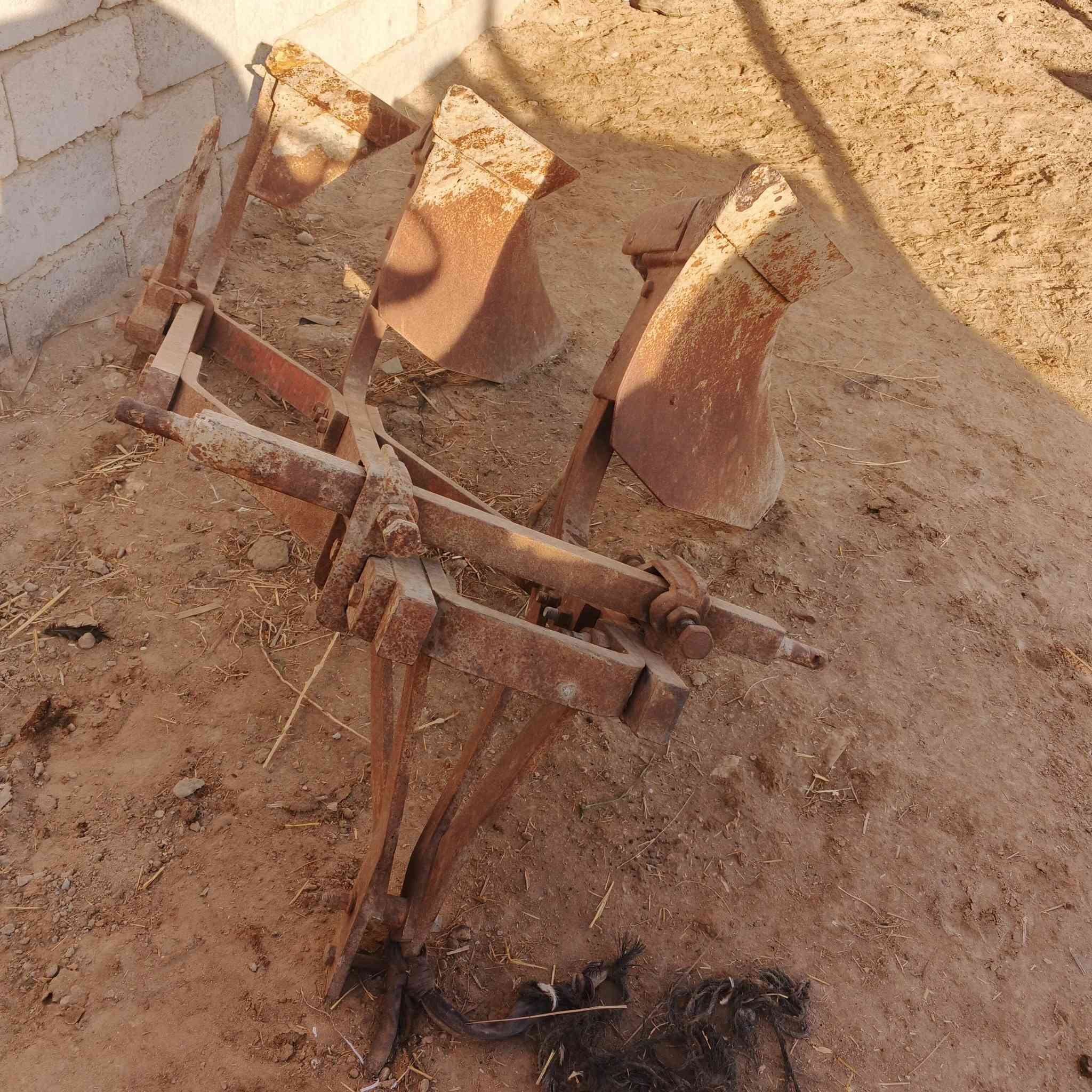 فدان عنتر البيع عوزه كفاخ واحد ماعوزه شي مكانه ديوانيه غماس ***********
