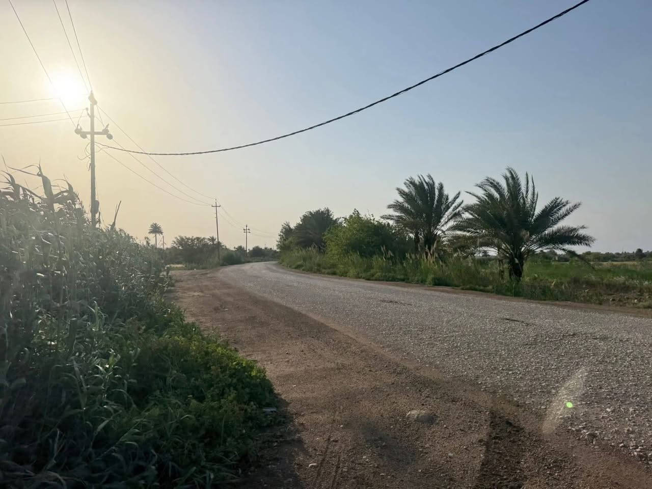ارض طابو زراعي سند 25 باسم المالك  
شرط التحويل – تحويل مباشر  
الموقع:  واسط – قضاء الزبيدية

على طريق سدة الجدول، محاذية لنهر دجلة  
تبعد حوالي 400 متر عن سيطرة السدة ومركز المدينة

🔹 المساحة: 18 دونم  
🔹 الواجهة: 23 متر  
🔹 بيها 5 بيوت

مميزات الأرض:  
✔️ طريق رسمي  
✔️ حصة مائية  
✔️ ماطور  
✔️ كهرباء متوفرة  
✔️ تبليط  
✔️ أرض مستصلحة ومزروعة  
✔️ محولة كهرباء خاصة داخل الأرض  
✔️ قابلة للتحويل المباشر

📌 تباع كاملة أو تجزئة بالدونم  
📹 كما موضح في الفيديو

للاستفسار:  
***********  
***********
