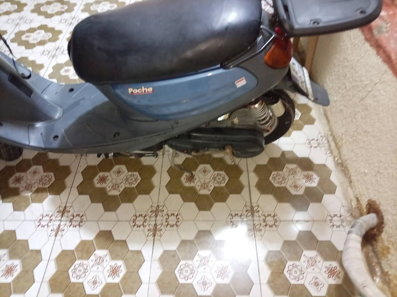 السلام عليكم دراجه منغولي أم السله فحل خطين دراجه حلوه ونضيفه وشلعه ومعدل دراجه فول مكينه بلادي ما مفتوحه موديل 2003 السعر 500 وبيها مجال 
الرقم ***********
العنوان بابل المسيب
