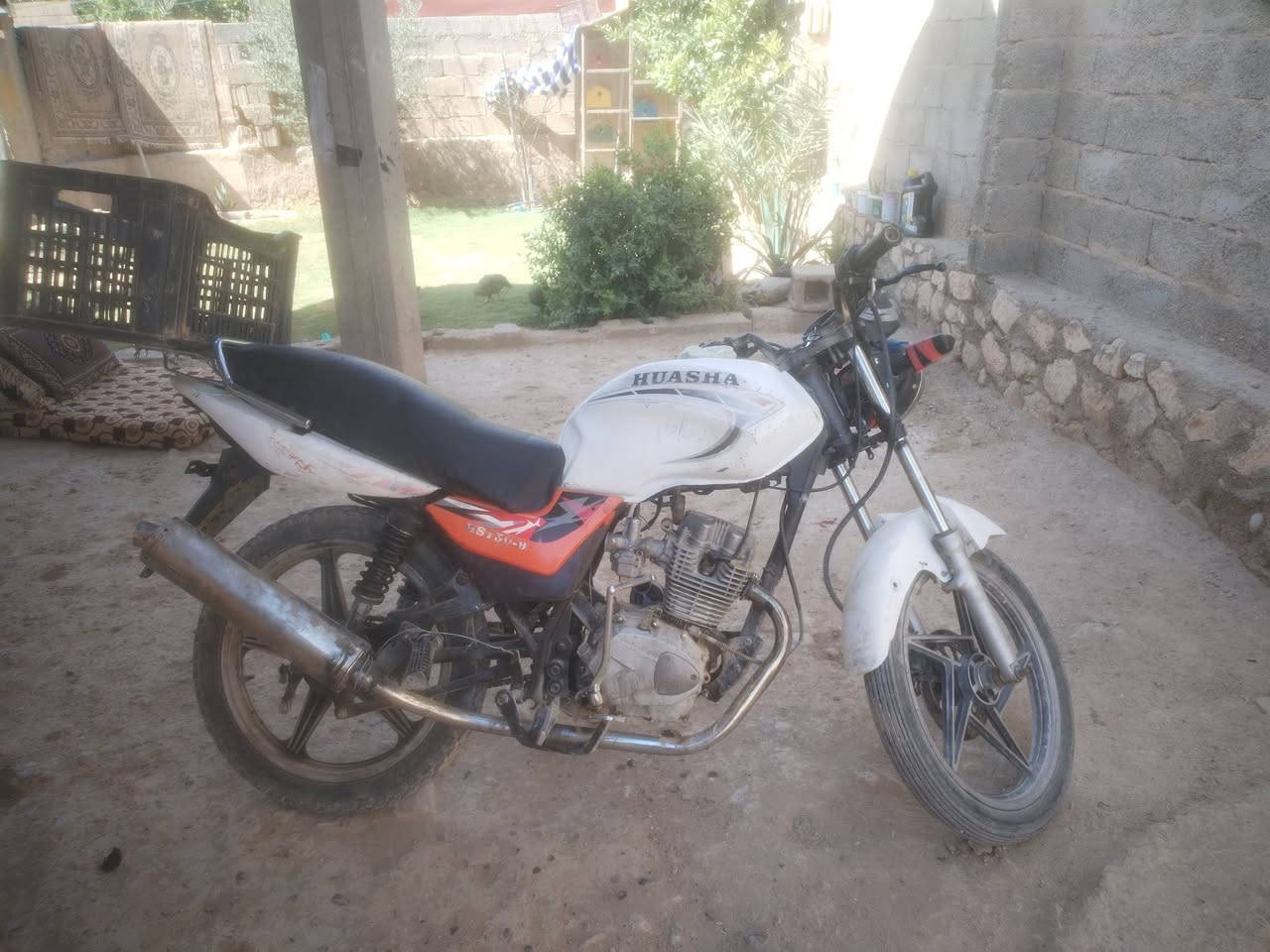 سلام عليكم يوجد هايوشه 14 سعر 300 بيه مجال عنواني حصيبه قرب نفوس تواصل رقم هاتف ***********
