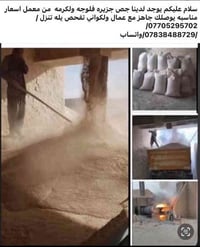 جص فلوجه ولكرمه • من المعمل • توصيل مع عمال