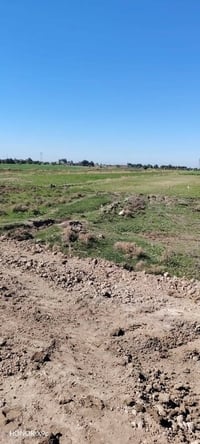 أرض زراعية • ٤ دونم • قرب جامع السنيه الكبير