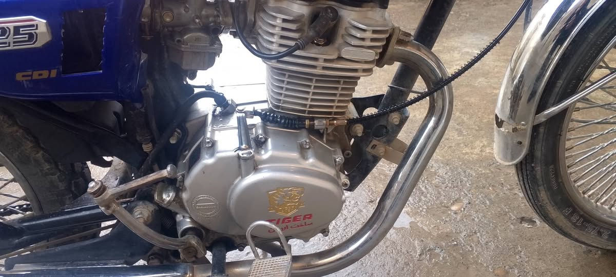 تايجر 2020 مكينه شرط ما مفتوحه السعر ٣٧٥ ***********
