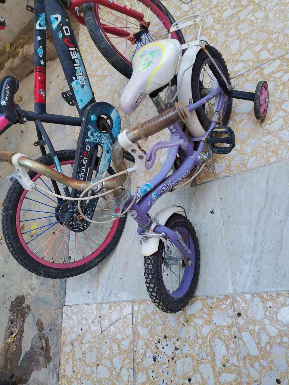 بايسكلات ثنينهم ب ٥٥ الف


**إذا كنت صاحب هذا الإعلان وتريد حذفه لأي سبب، رجاءا أرسل رسالة إلى الدعم الفني**