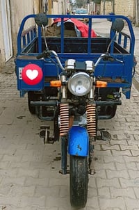 ستوته • موديل 2016 • كوت