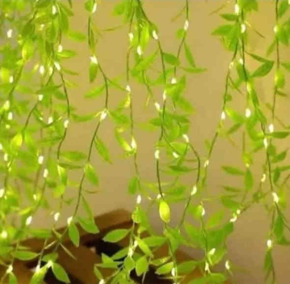 عرض خاص 5.000 فقط🔥🔥

نشرة متدلي خضار قياس 3*1📌📌

نختار لكم افضل المنتجات  واجملها لتكون بضاعتنا هي الاجمل في منزلكم ❤️😍

‏‎للحجز والاستفسار يرجى مراسلتنا على الرقم ***********   برنامج  الواتسآب او فيس بوك💻📱

‏‎العنوان ديالى المقدادية حي المعلمين مقابل شارع المخظر شارع السايدين 

((ليس لدينا فرع اخر ))🚫

متوفر أيضا خدمة التوصيل لجميع المحافظات العراق📌📌
