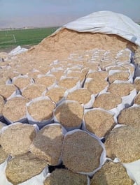 تبن للبيع • مكيس ناعم • ماكو تواصل