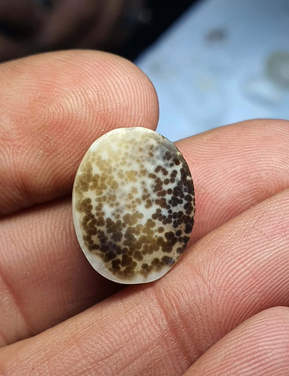 ماشاءالله…جزعة بقرية قديمة ثقب شعرة ناعم العين نحت يدوي بانامل المبدع عراق النقاش، ، للبيع بسعر 150 الف نهائي
***********
