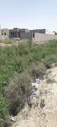 ١٢٥٠م • طابو زراعي • ابوالخصيب