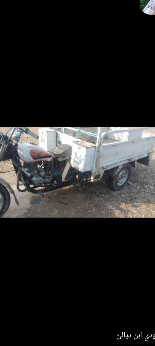 سلام عليكم شباب،ستوته،اللبيع موديل 19 وراق صوليه وليريده يجي خاص ويدلل  ***********
