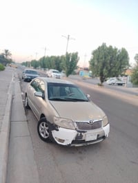 كورلا بياكتشو • ٢٠٠٦ • فلوجه