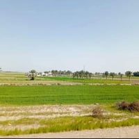 دونمين  للبيع طابو سند 25  خدمات متوفره  فتح بيان ثاني يوم  الأرض اولي...