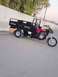 ستوته • ٢٠٢١ • بدون صبغ