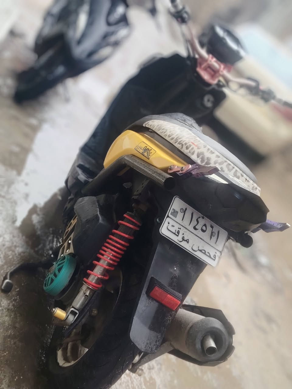 سلام عليكم جبلي كفاله مزوعه تزويد سكان قبق فلاوي هاوزن بكلايت سبايدر صالنصه صجمي كشن اربع ولفات سلف قبق عنبار يدات قبق كلحات دراجه مزوعه تزويد بيع او مراوس مكاني مسيب رقم ***********
