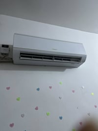 سبلت • ١ طن • صيف واحد