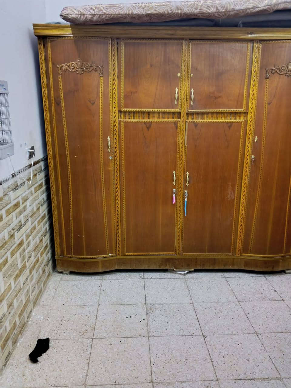 السلام عليكم سنكي وكنتور للبيع مكاني بغدادشعله


**إذا كنت صاحب هذا الإعلان وتريد حذفه لأي سبب، رجاءا أرسل رسالة إلى الدعم الفني**