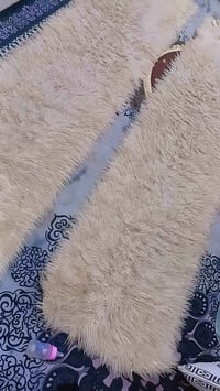 سجاد • جوزين