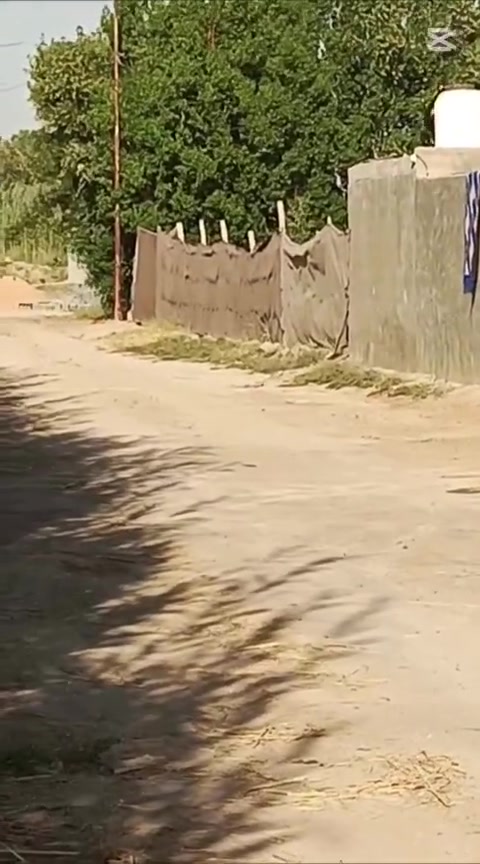 أرض زراعيه دونمين سند 25  شارعها 8 امتار عنوانها على طريق ابو جاسم قرب شارع حله بغداد كيلو 10.تحتوي على 3 دور سكنيه 

_تفاصيل الأرض 
1-الدار الاول  الكبير. استقبال 7/4.مطبخ4/4.صاله 4/5.غرفتين 4/5.كلي دور 2/2 وحمام

الدار الثاني غرفه 4.5 /3.5..صاله ومطبخ 3/3 وحمام
الدار الثالث غرفتين 4/5 صالتين 4/4 ومطبخين 4/4 وحمامات 

الأرض مسيجة ومزروعه تين ورمان وعنب وتفاح وحمضيات واشجار ضليه منوعه. السقي ماطور غطاس كهربائي وماء اسأله وكهرباء وطني مولد. التبليط يبعد 300 متر والشارع المؤدي الها عرضه 8 متر

عنوان مكتب  السعدي للعقار بابل المسيب على طريق ابو جاسم قرب حي النوار مقابيل فرن صمون 
***********  واتساب
