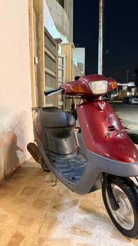 بوتين • حديث • فول