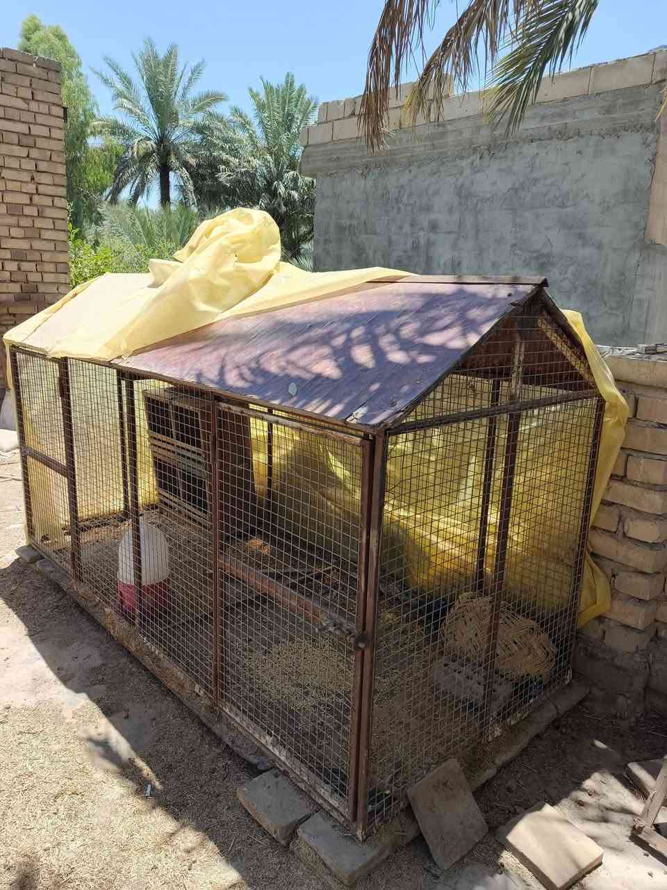 اغراض للبيع كربلاء


**إذا كنت صاحب هذا الإعلان وتريد حذفه لأي سبب، رجاءا أرسل رسالة إلى الدعم الفني**