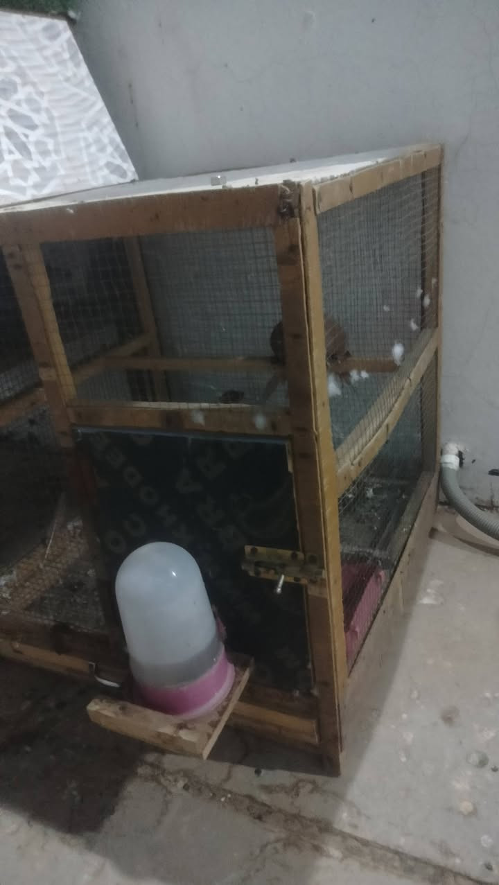 خانه ام الجراره للبيع  السعر خاص


**إذا كنت صاحب هذا الإعلان وتريد حذفه لأي سبب، رجاءا أرسل رسالة إلى الدعم الفني**