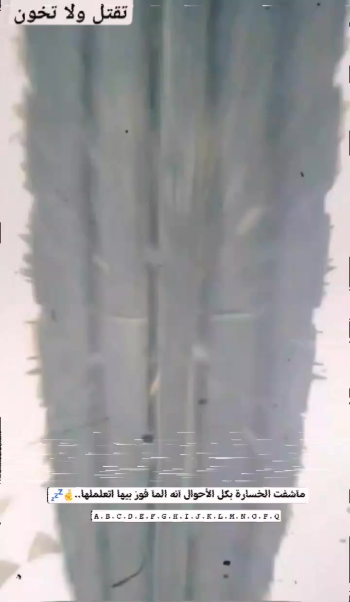 نامه شلامجه موديل 2025 العنوان ديالي السعر 600 الاستفسار ***********
