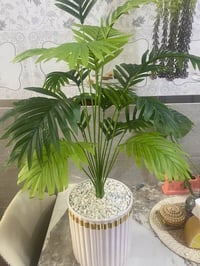 شجره السايكس • خدمه توصيل