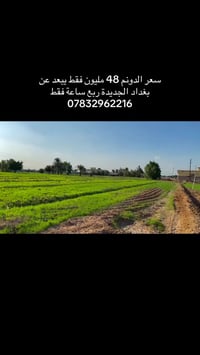 منطقة هدوء وحلوه سعر الدونم 48 مليون  07832962216