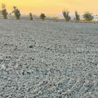 ام نعجة • ٤ دونم • عقد زراعي ١١٧