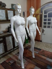 ملكانات • الهندي • ٢ حبة