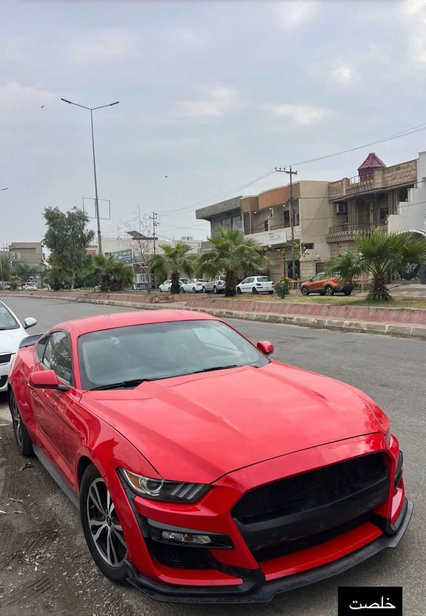 موستنج موديل ٢٠١٧ مصبوغ حزام احمر 
خابرني وتدلل *********** كركوك, العراق
