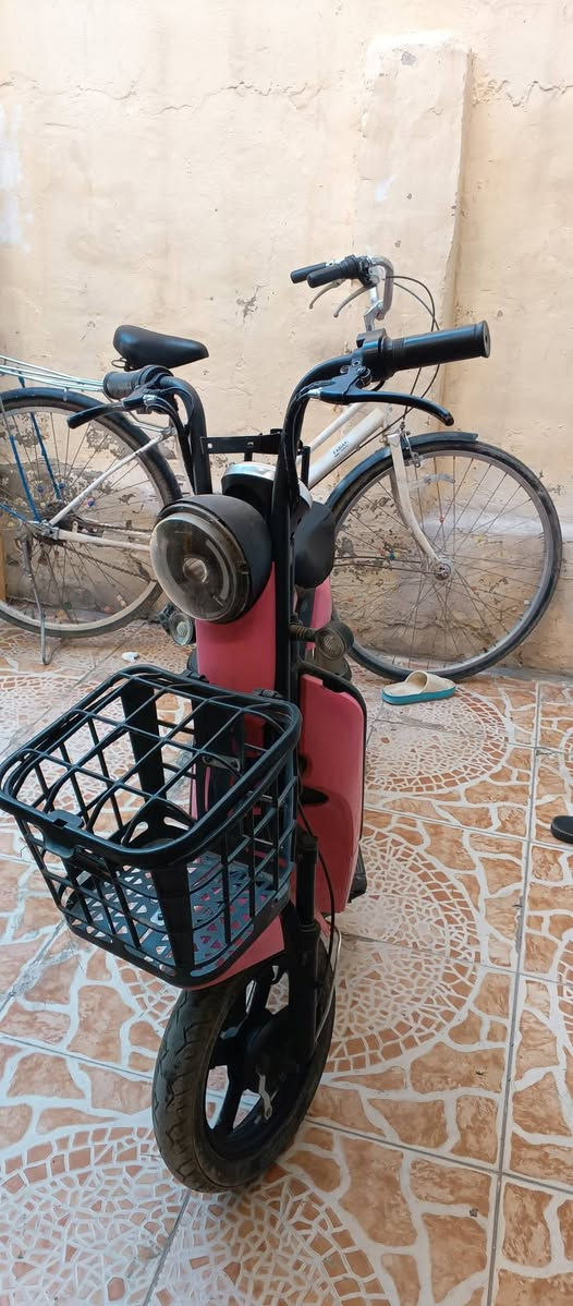 سلام عليكم شباب مكلف بالنشر باسكلات للبيع كلمن وسعره مكانه بعقوبة شراي خابر صاحبهن  ودلل ***********
