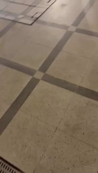 توجد مزرعه للأيجار موقعه الدورة البوعيثه متوفره حجوزات عله طوال الأسبو...