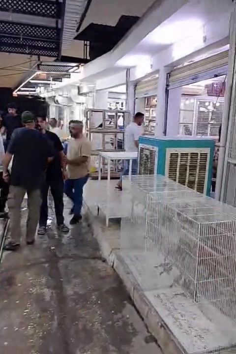 السلام عليكم محل رائد أبو صفوان ملك البلبل العراقي الموصل باب الطوب سوق الهرج سوق الحمد بالقرب من سوق الاربعاء


**إذا كنت صاحب هذا الإعلان وتريد حذفه لأي سبب، رجاءا أرسل رسالة إلى الدعم الفني**