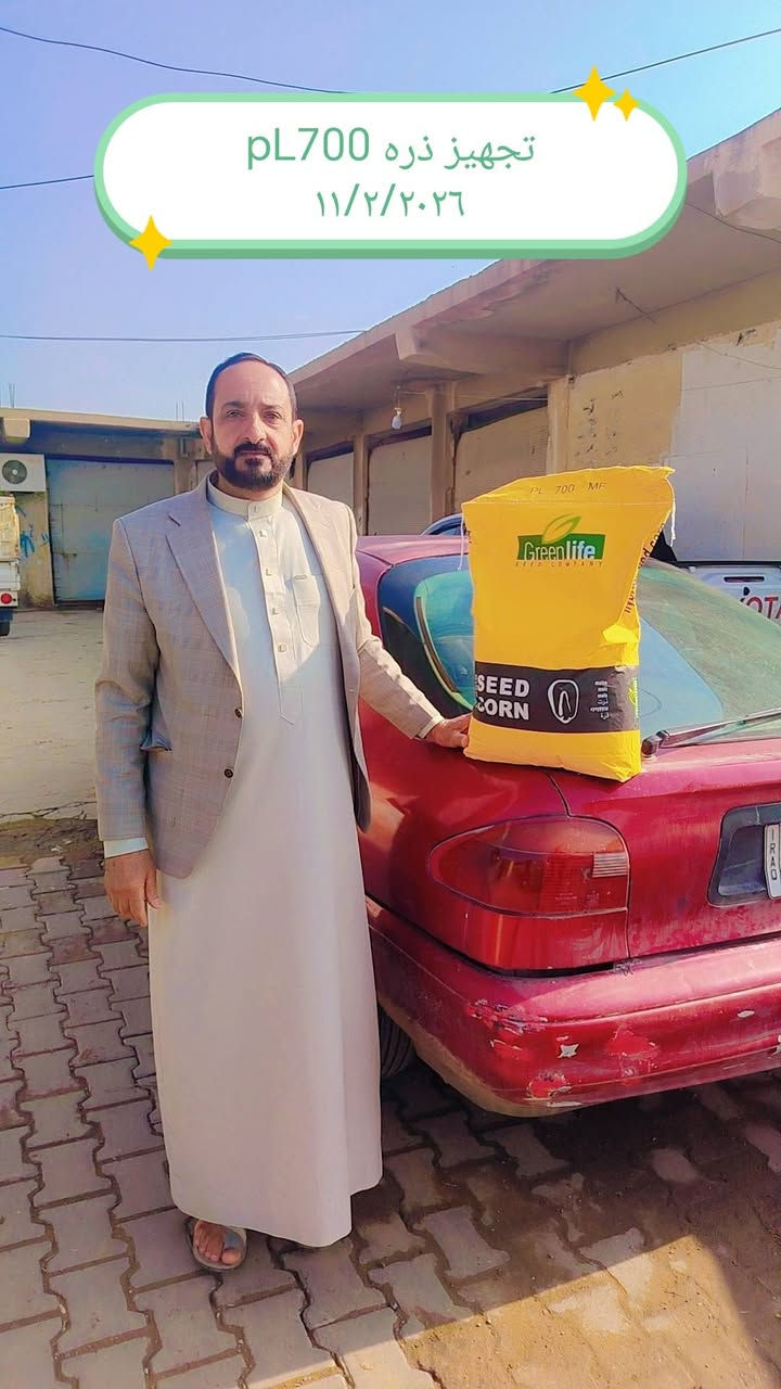 على بركة الله تجهيز بذور الذرة الصفراء للعروه الربيعيه صنف pL700 بتاريخ 2/12/للموسم الحالي البيع جمله مفرد للتواصل  *********** كركوك حويجه
