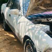 ١٩٩١ • مكينة وكير فول • واتساب