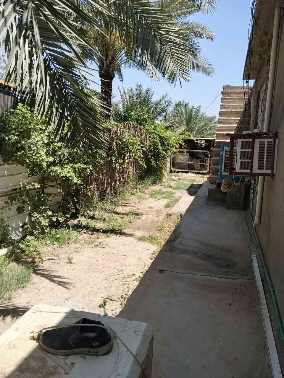 السلام عليكم يتوفر نص دونم مع بيت منطقه التويثه قرب شارع سيد علي يحتوي البيت على غرفتي النوم وصاله وربعه ومطبخ وصحيات نوع العقار طابو ملك صرف واجهه 16 والنزال 105 شارع 6 م يبعد عن نهر دجله 500 متر للاستفسار ***********جهاد الشمري
