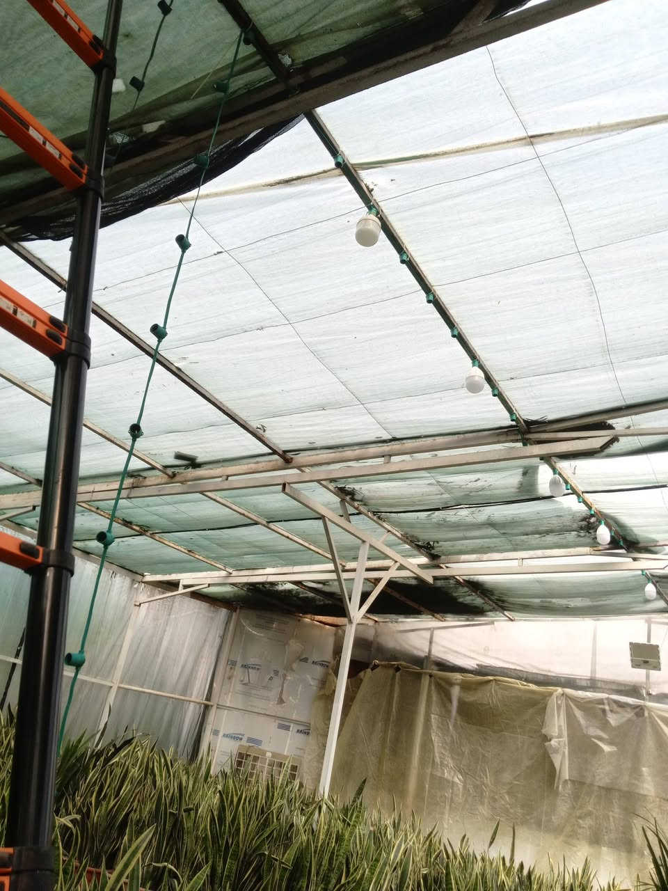 بتوفيق من الله وفضله جانب من أعمالنه اتمنى أن ينال  اعجابكم ومستعدين لكافة الأعمال الكهربائيه بوري سيمزبر.  و بروفايل  وبيانو درج  ترميم اضافات وبأنسب الاسعار ويتوفر لدينا كادر تنصيب منظومه كامرات والستلايت  ومن الله التوفيق  
***********.    ***********52   اتصال.           و اتساب
