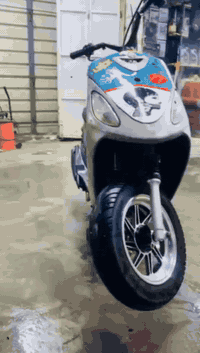 ماكس منغولي لبيع ***********سعر 500,وبيه مجال
