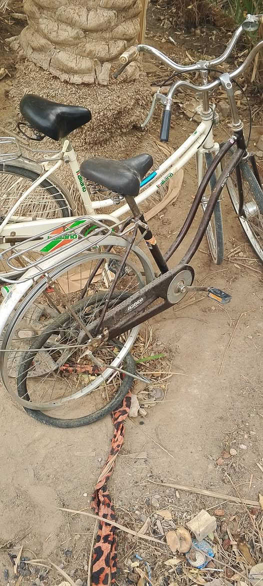 بايسكلات للبيع العددد 3 بيع مستعجل سعر الواحد 30الف قفل جدد كربلاء وهذا رقمي ***********
