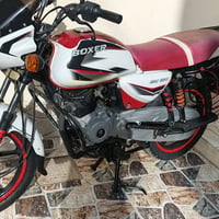 07702987956--2021--- شكلي 22 اوراق بعقوبه