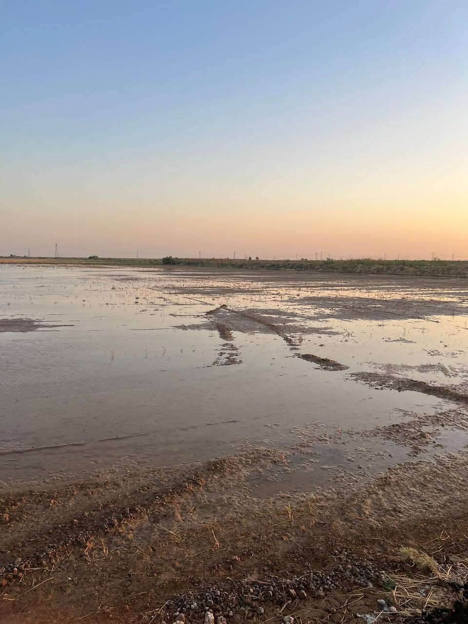 السلام عليكم ارض زراعيه للبيع مساحتها 20دونم مكانه المغاربه الشاخه ال اوله معدله ليزر لل استفسار ***********
***********
