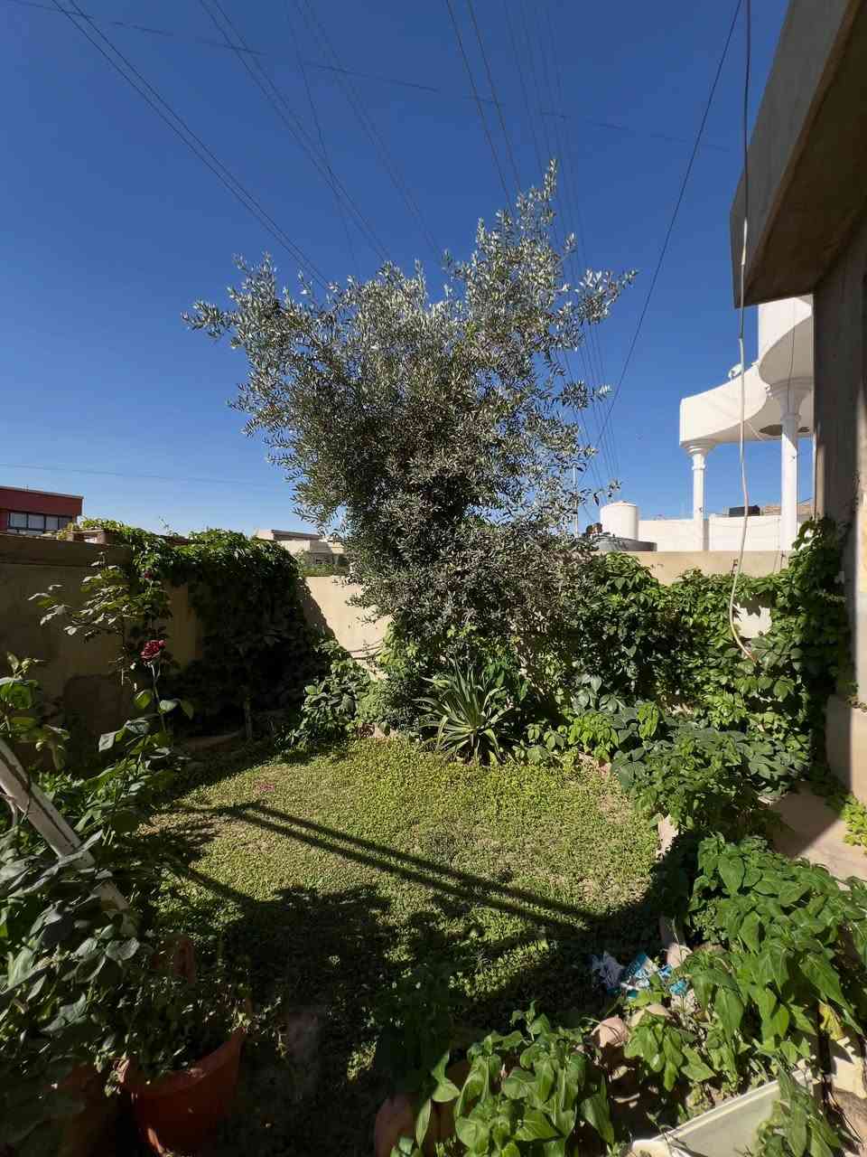 كركوك رحيم أوه خلف حاجي إسماعيل مول📍
دارللبيع طابقين موقع راقي
المساحه_300متر
الواجهه_11متر
طابقين درج داخلي و خارجي+ گراج سياره دفن
للمزيد من المعلومات 
***********
***********
