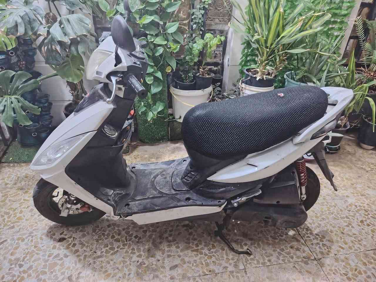 دراجة كايمكو نظافه مثل ما موضح بالصور كهربائيات شغاله  محرك صوته ناعم دراجة حلوة سعر ٣٠٠


**إذا كنت صاحب هذا الإعلان وتريد حذفه لأي سبب، رجاءا أرسل رسالة إلى الدعم الفني**