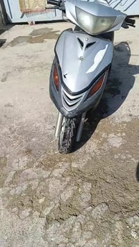 ماكس ثعلاب • سلف • نضيفه