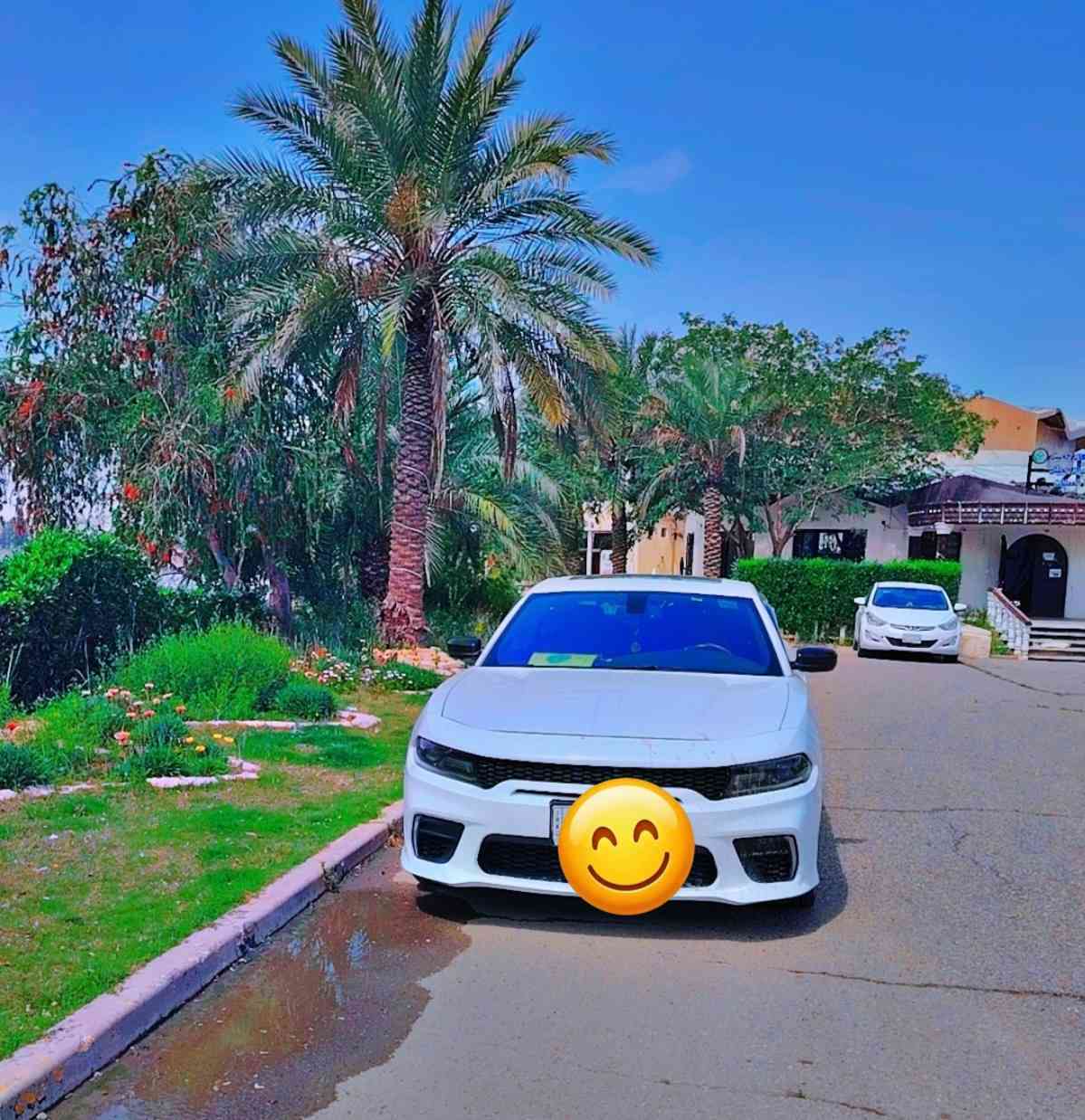 جارجر 2018 بيضه بلاك توب شاشه كبيره فتحه ويل 20 تحكم ريمونت تدفئه كشنات تبريد ثلج مبدل فريز كامل قبل سنه و تبديل صدر  باتري جديد كشنات مخمل بجم محدث  حادث خلع تاير معدل الجاملغ الأيسر نفسه بسبب حادث أمريكا وباب السايق بيه دعجه بسيطه
وجاملغ اليمين بيه صبغ اثر حادث بسيط سياره مكفوله من البجم والشاصي واللغد بدون ايرباك السعر 31.000.000 مليون دينار مجال بسيط


**إذا كنت صاحب هذا الإعلان وتريد حذفه لأي سبب، رجاءا أرسل رسالة إلى الدعم الفني**